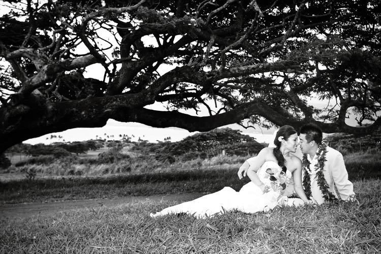 Cuddling under the tree