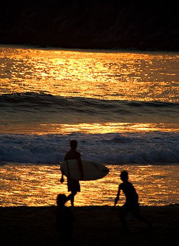 Surfer and the Golden Sunset