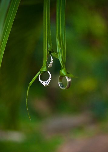 Wedding rings hanging on leaves