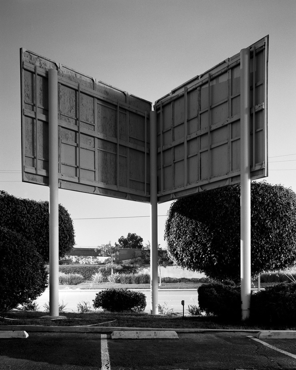 AYUSON_billboard_800kb.jpg