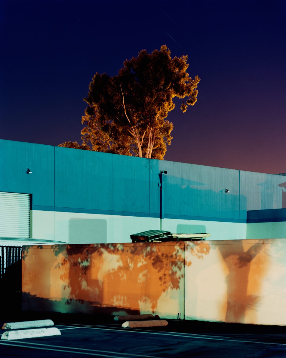 Ayuson_warehouse_tree_800kb.jpg
