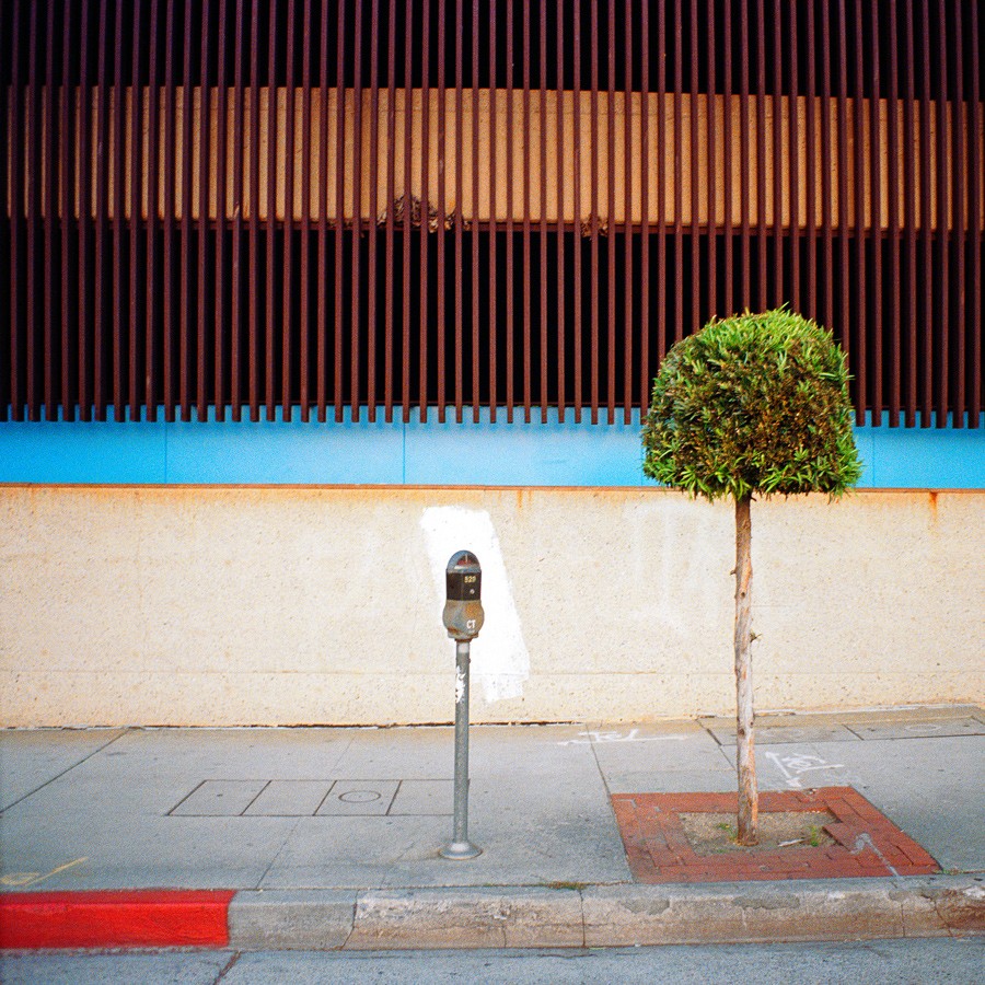 AYUSON_sidewalk_800kb.jpg