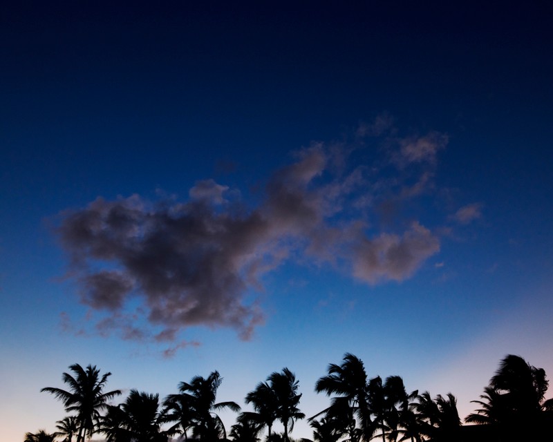 AYUSON_Cap_Cana_cloud_00062 copy.jpg