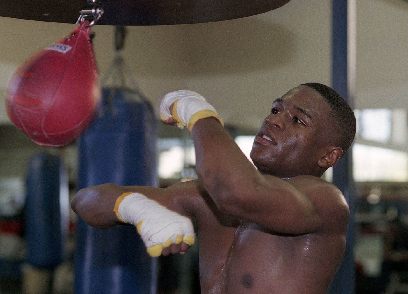 1mayweather_back_to_gr_img455