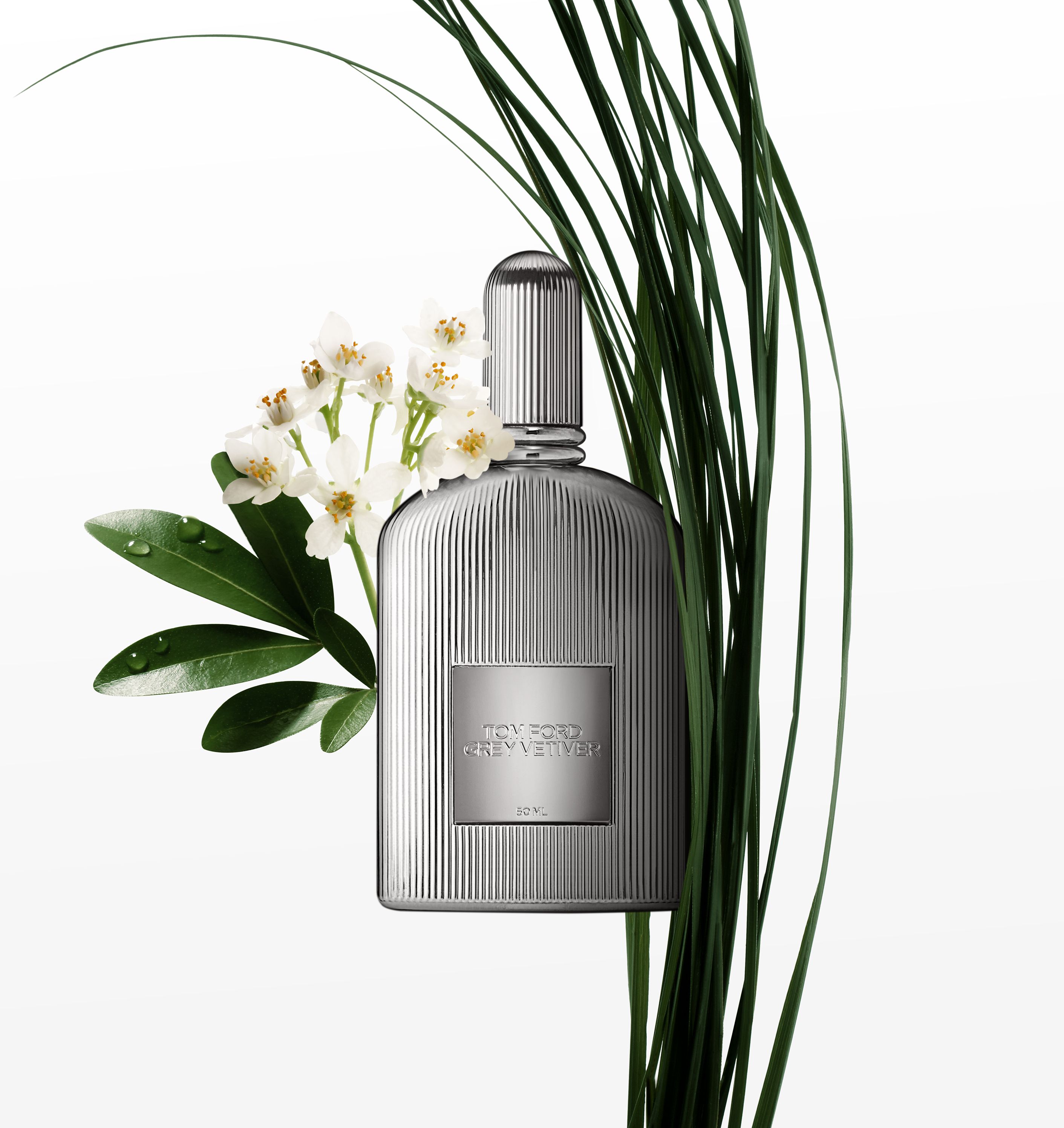 51171_INTERNAL-ONLY_GREY-VETIVER-PARFUM_INGREDIENT_FY22-INV_2.jpg