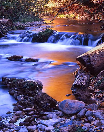 Wasatch Mountains, Utah Fall