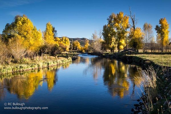 Fall Colors on the Weber River, Utah
