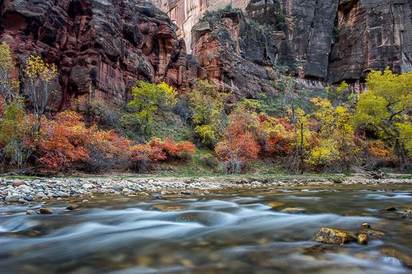 Virgin River and Fall Colors