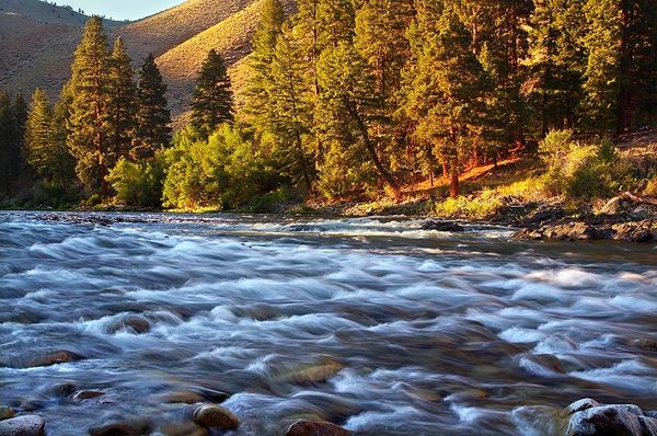 Middle Fork of Salmon 1
