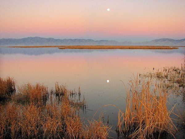 The moon rising over Bear River Bird Refuge, Utah Bear River Moonrise