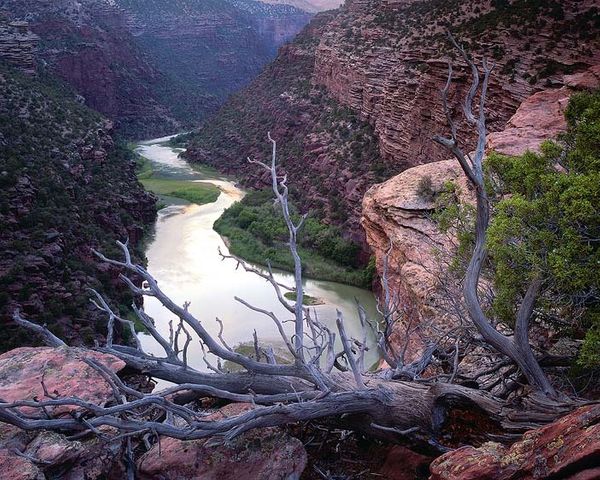 Dinosaur National Monument, Utah River and Canyon