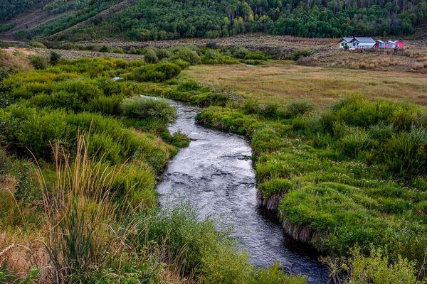 East Canyon Creek, Utan