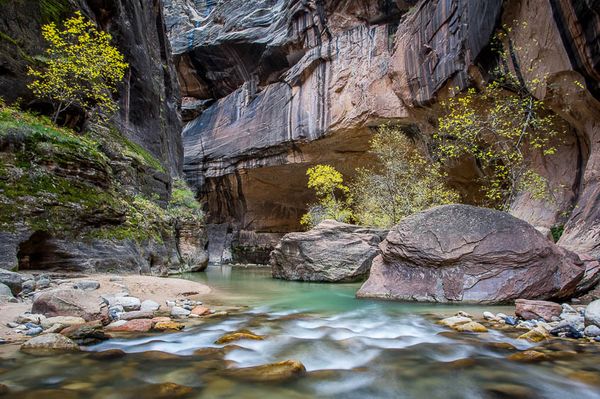 Zion Narrows and fall leaves