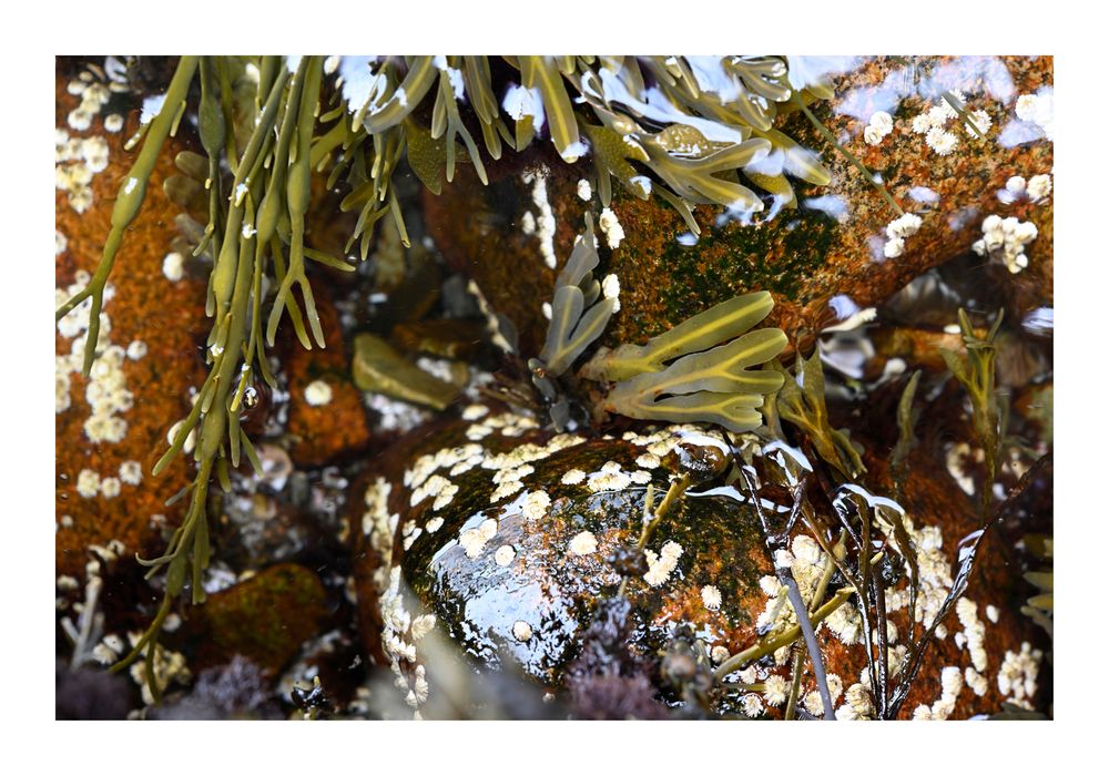 5994 ©joan_beard_2025-5994.jpg