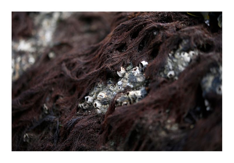 ©joan_beard_2025-8523 wb.jpg