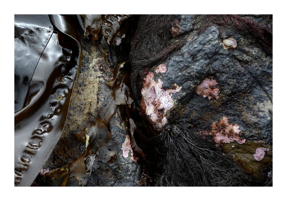 8064 ©joan_beard_2025-8064wb.jpg