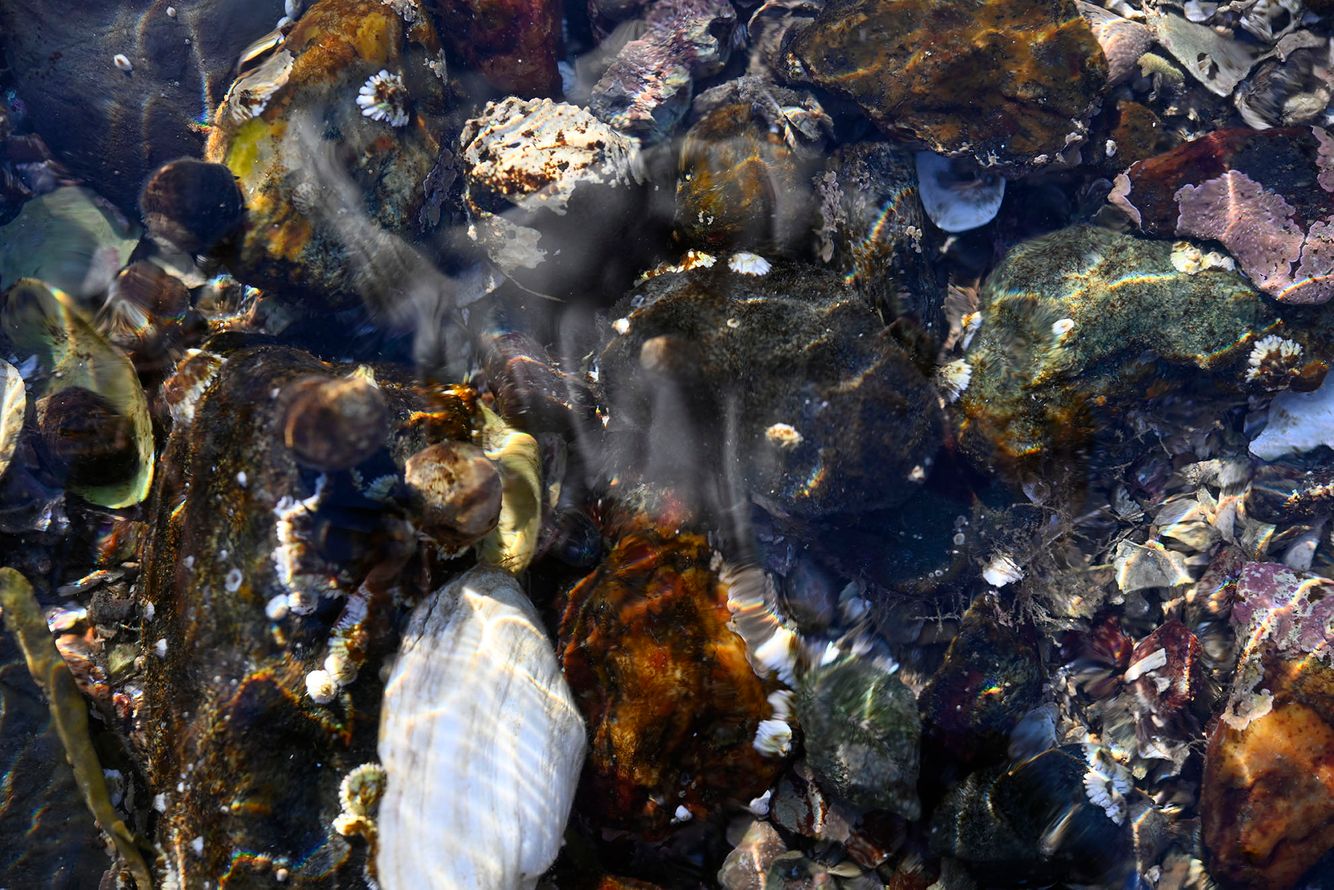 _DSC6653 copy.jpg
