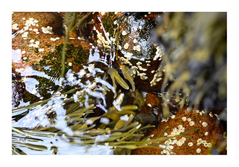 ©joan_beard_2025-6005 wb-3.jpg