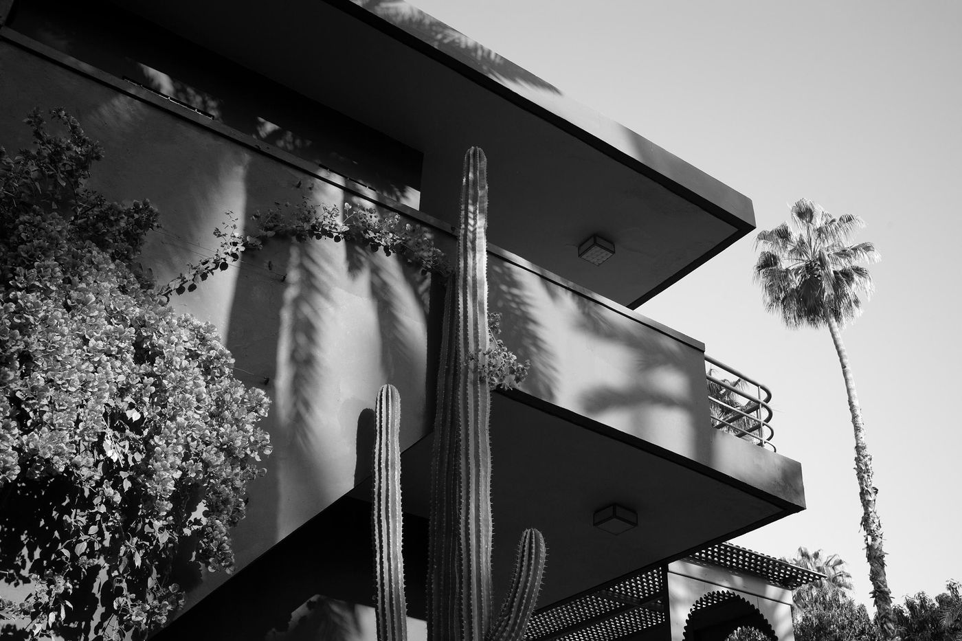 Saint Laurent Majorelle Garden, Marrakech