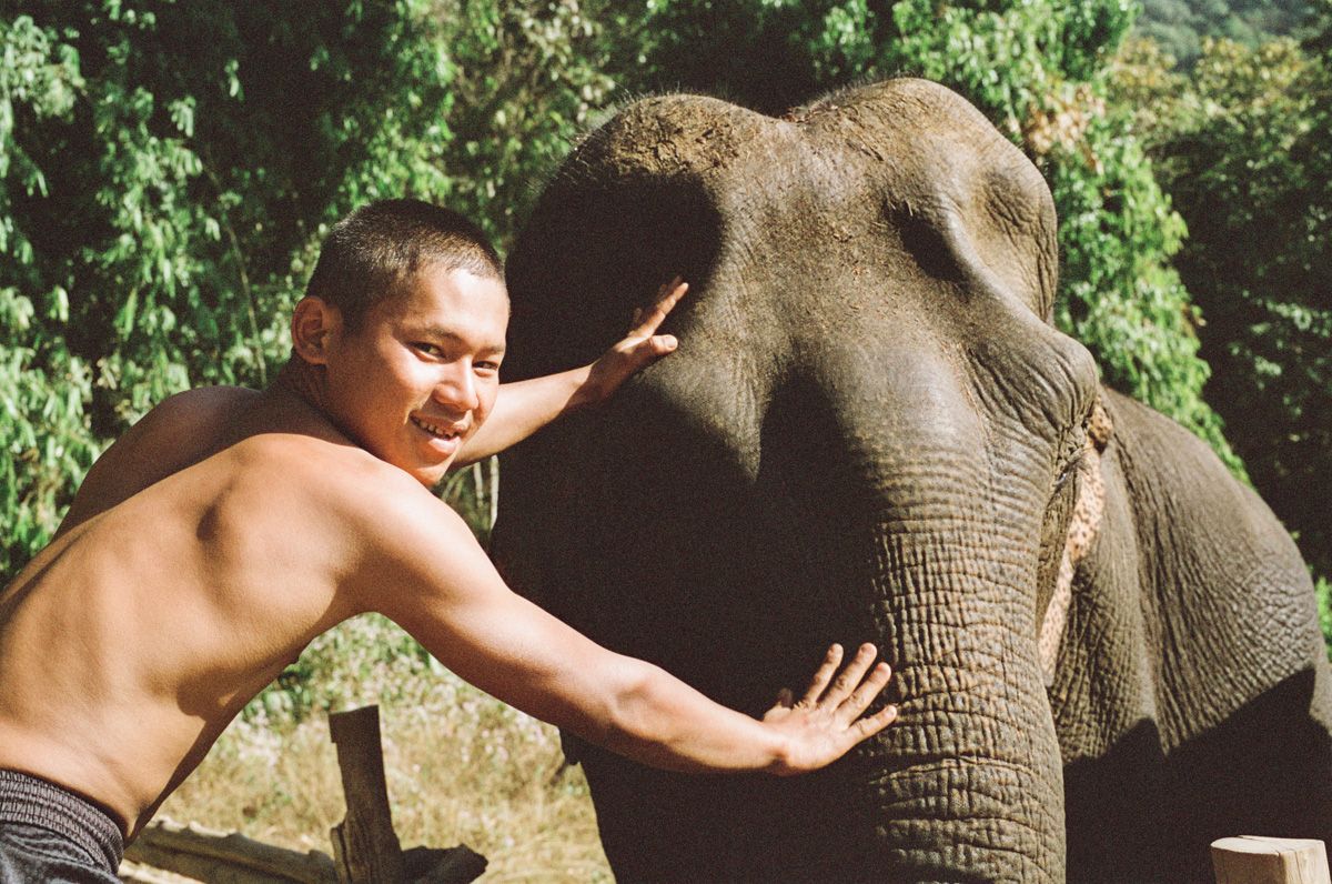 Niv_Shank_811a_Thailand_Asia_Films.jpeg
