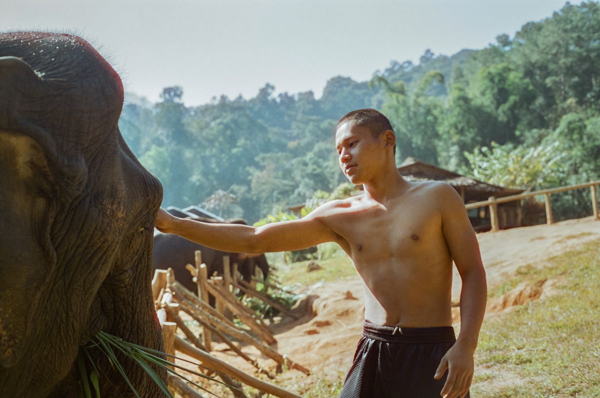 Niv_Shank_810_Thailand_Asia_Films.jpeg