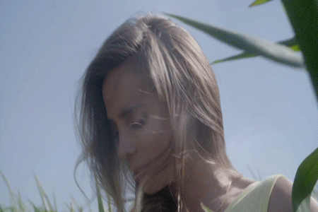 FALL_18.gif