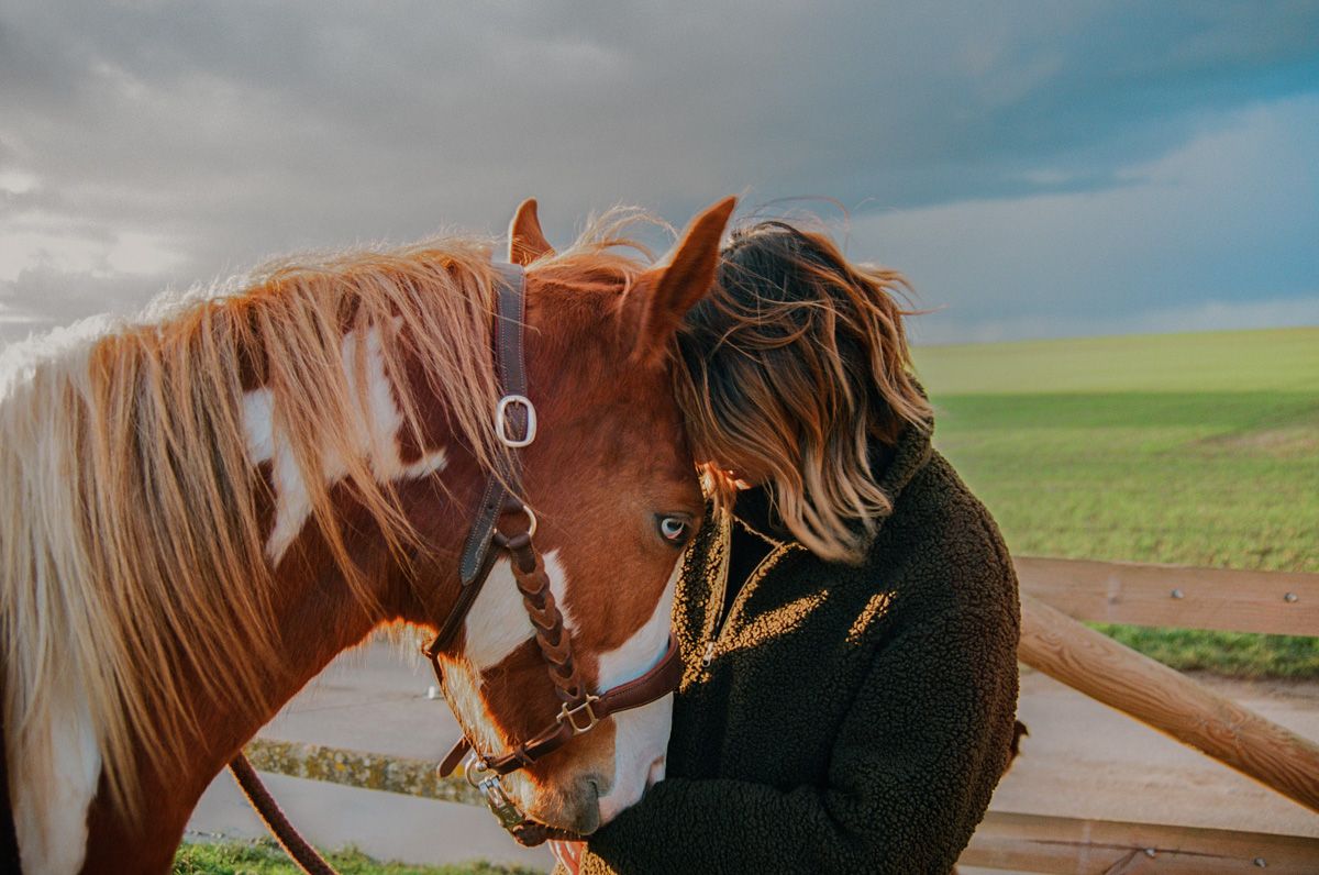 Niv_Shank_800_The_Horse_Whisperer_France_Films.jpeg