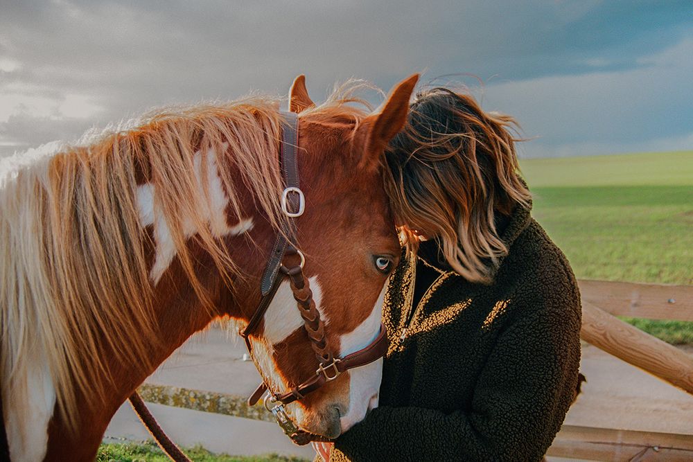 Niv_Shank_800_The_Horse_Whisperer_France_Films_a.jpg