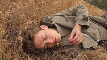 Freedom_by_Niv_shank_5.gif