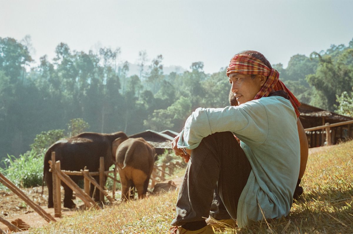 Niv_Shank_809_Thailand_Asia_Films.jpeg