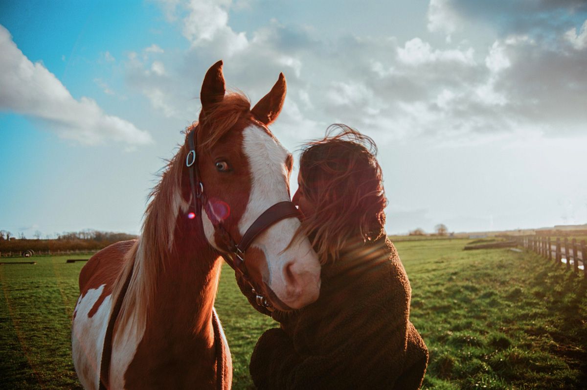 Niv_Shank_796_The_Horse_Whisperer_France_Films.jpeg