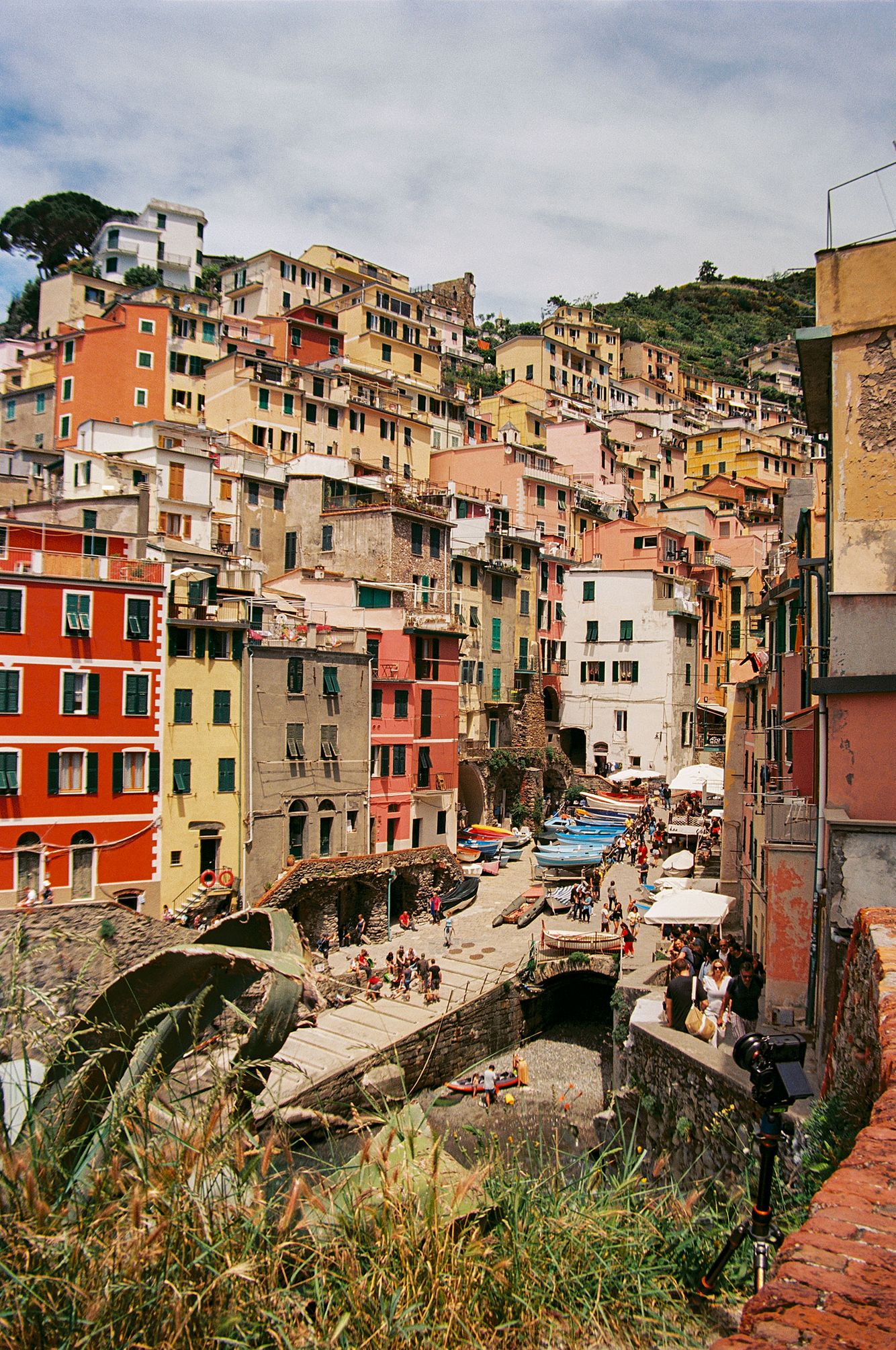 Niv_Shank_1496a_Italian_summer_cinque_terre_Films.jpg