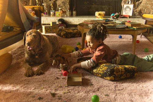 KINDRED Niv_Shank_396_Family_Album_kindred_Advertising_California_Digital_vintage_lens.jpg