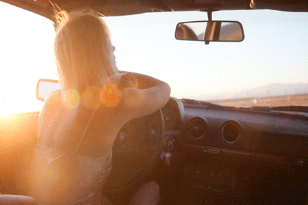 DIRECTOR - REEL On_the_road_Niv_shank_2.gif