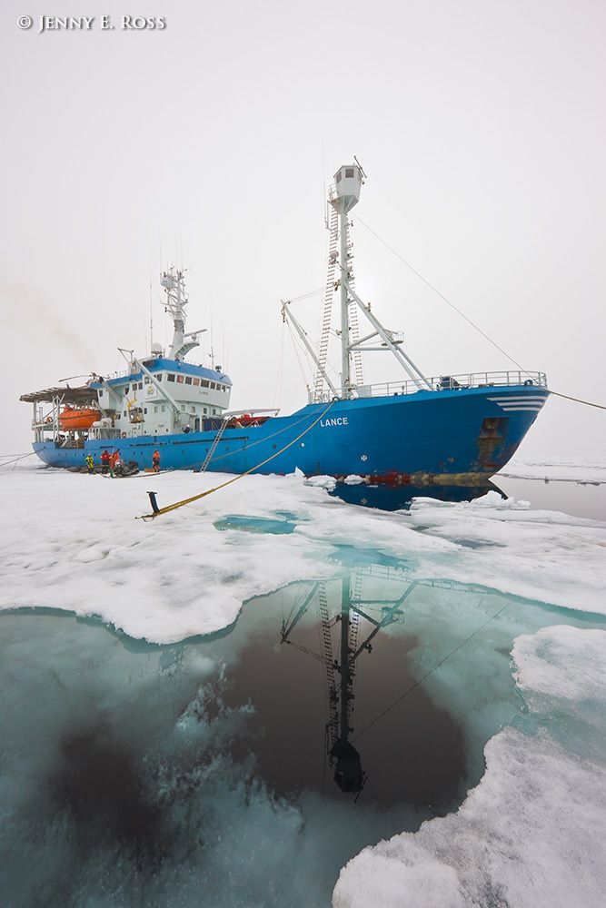 Participants in the Norwegian Polar Institute's 2012 "ICE" ("Ice, Climate, and Ecosystems") scientific research voyage in the Arctic Ocean load scientific equipment onto the NPI ship RV Lance from a large floe of Arctic sea ice where research activities were conducted in July-August 2012. The ship was attached securely to this particular floe of ice, and moved with the floe as it floated freely in the ocean, for the duration of the work. By the end of the scientists' time on the ice, the floe had melted significantly and was obviously deteriorating. Some of the melt ponds on the surface of the ice, such as the ones shown in this photographs, had melted through completely to the ocean water below. The Arctic Ocean was approximately 3500 meters deep at this location. Scientific research on arctic sea ice, central polar basin, Arctic Ocean
