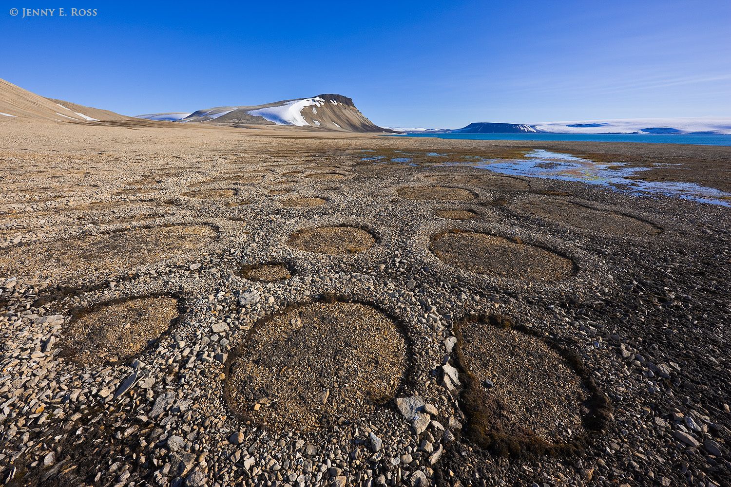 Patterned ground in the polar desert on Nordaustlandet near the shore of the Arctic Ocean in the Svalbard Archipelago, Norway.