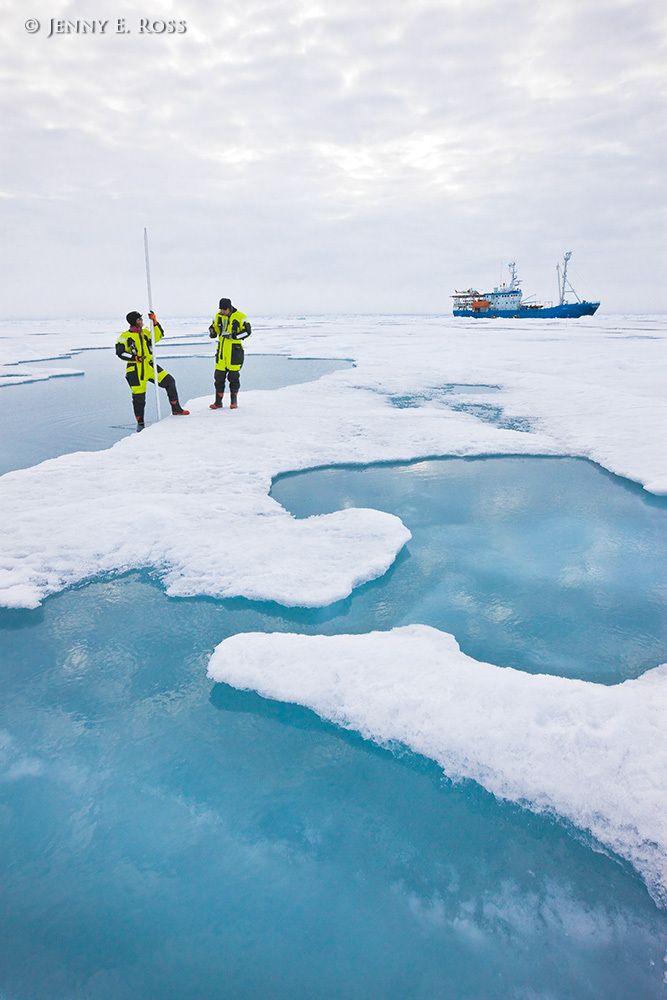 Norwegian Polar Institute sea ice scientists Dr. Christina Pedersen and Dr. Dmitry Divine make measurements of ice surface topography using a laser device on a large floe of sea ice in the Arctic Ocean during NPI's 2012 "ICE" (Ice, Climate, and Ecosystems) expedition. The areas of blue water are melt ponds of varying depth on the surface of the ice floe. The NPI ship RV Lance was attached securely to this particular floe of ice, and the vessel moved with the floe as the ice floated freely in the ocean, for the duration of various on-ice research activities in July-August 2012. Scientific research on arctic sea ice, central polar basin, Arctic Ocean