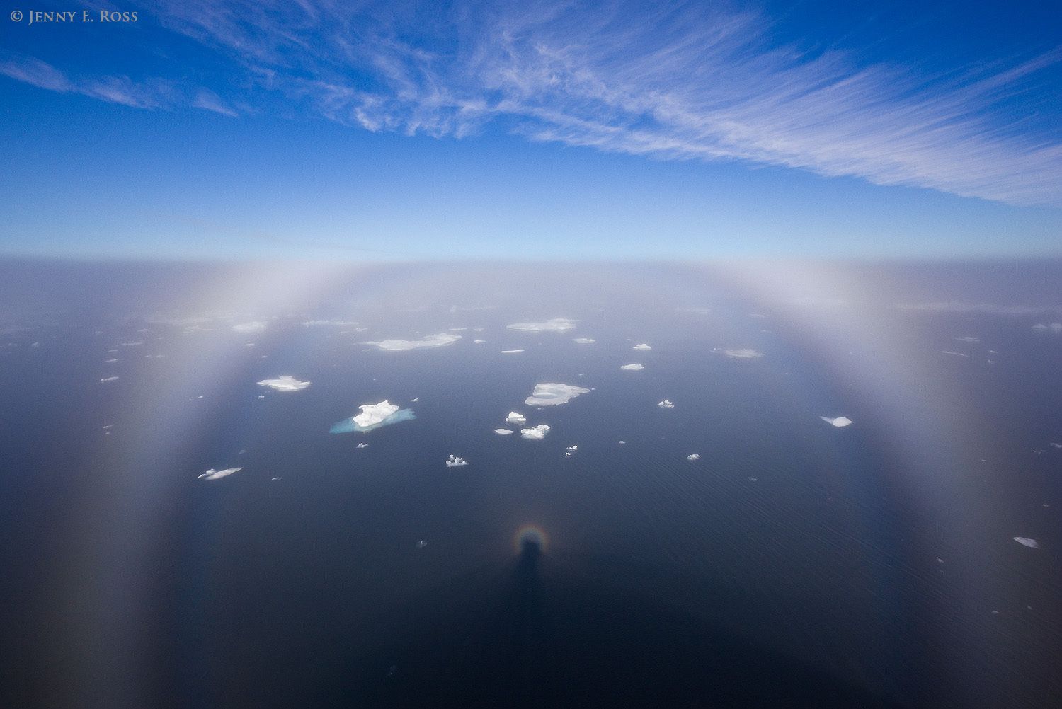 A fog bow arches across scattered floes of melting sea ice in Olgastretet, accompanied by a Brocken spectre and glory. Sunlight shining on fog created the optical phenomena.