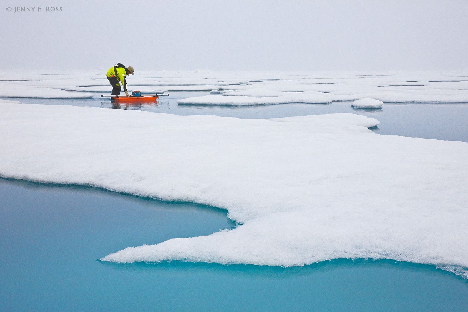 During a research expedition in the Arctic Ocean, Norwegian Polar Institute scientist Dr. Angelika Renner, a physical oceanographer and sea ice physicist, uses an electromagnetic instrument to collect data that will be used to calculate the thickness of the sea ice. The device is an EM-31, a ground-based version of the airborne EM-Bird instrument. This work was conducted on a large floe of melting summer sea ice in the Arctic Ocean as part of NPI's 2012 "ICE" (Ice, Climate, and Ecosystems) expedition in July-August 2012. The NPI research ship "RV Lance" was attached securely to this particular floe of ice, and the vessel moved with the floe as the ice floated freely in the ocean, for the duration of various on-ice research activities in July-August 2012. The areas of water in the photograph are shallow melt ponds of varying depth on the surface of the ice floe. Norwegian Polar Institute research on sea ice in Arctic Ocean