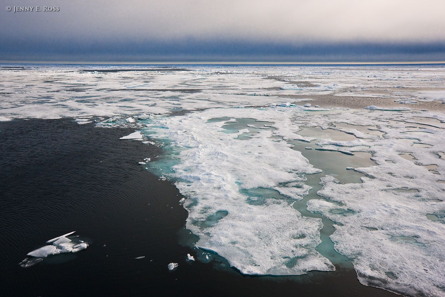 Melting Arctic sea ice in summer.