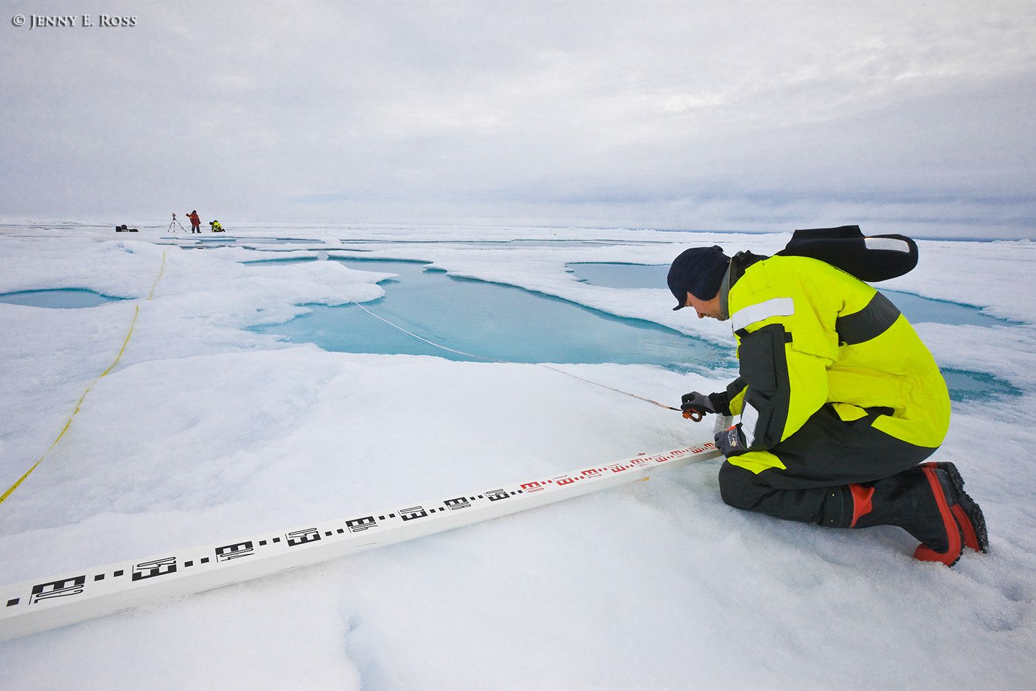 Norwegian Polar Institute sea ice scientists Dr. Dmitry Divine (in foreground) and Dr. Christina Pedersen (in distance) mark transects in order to make measurements of ice surface topography using a laser device on a large floe of sea ice in the Arctic Ocean during NPI's 2012 "ICE" (Ice, Climate, and Ecosystems) expedition. NPI Engineer Tor Ivan Karlsen (in red in distance) functions as an armed polar bear guard while his colleagues focus on their on-ice research activities. The NPI ship RV Lance was attached securely to this particular floe of ice, and the vessel moved with the floe as the ice floated freely in the ocean, for the duration of various on-ice research activities in July-August 2012. Scientific research on arctic sea ice, central polar basin, Arctic Ocean