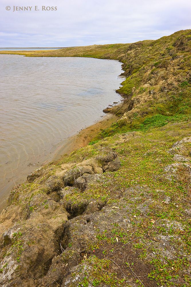 Slumping hillside due to thawing permafrost, Amguema River Estuary, Chukchi Sea, Russia.