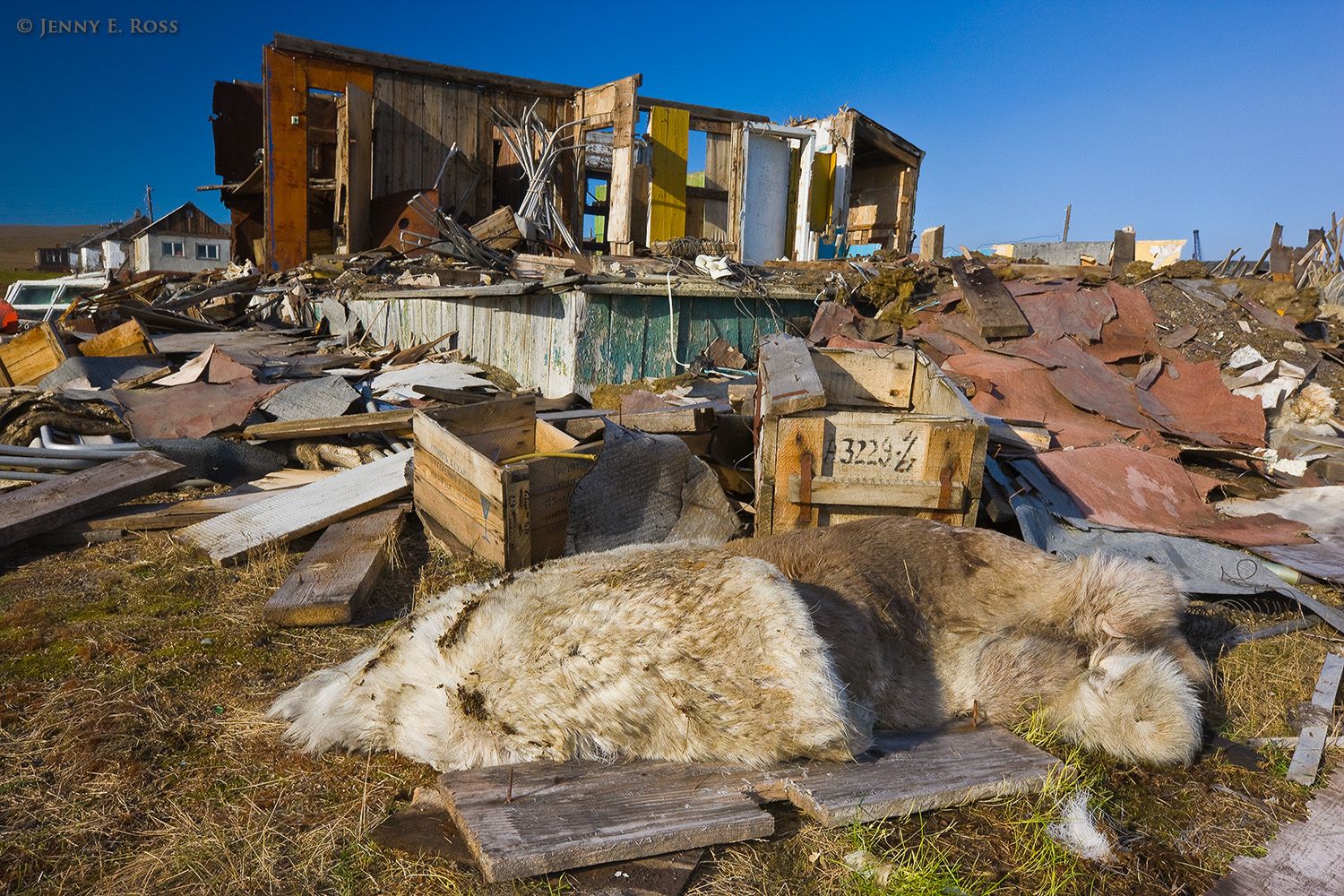 Ruins at Ushakovskoye Village, Wrangel Island, Rogers Bay, Chukchi Sea, Russia.