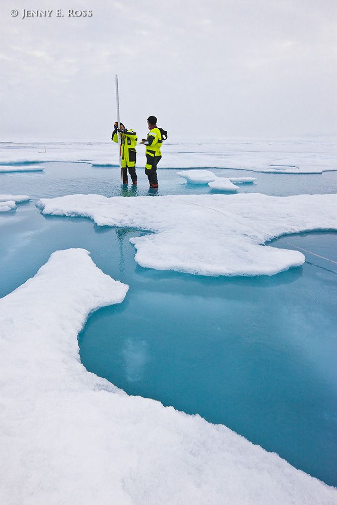 Norwegian Polar Institute sea ice scientists Dr. Christina Pedersen and Dr. Dmitry Divine make measurements of ice surface topography using a laser device on a large floe of sea ice in the Arctic Ocean during NPI's 2012 "ICE" (Ice, Climate, and Ecosystems) expedition. The areas of blue water are melt ponds of varying depth on the surface of the ice floe. The NPI ship RV Lance was attached securely to this particular floe of ice, and the vessel moved with the floe as the ice floated freely in the ocean, for the duration of various on-ice research activities in July-August 2012. Scientific research on arctic sea ice, central polar basin, Arctic Ocean