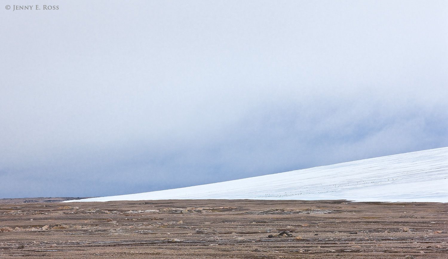 The receding edge of the ice cap on Kvitoya (White Island), the easternmost island in the Svalbard Archipelago.