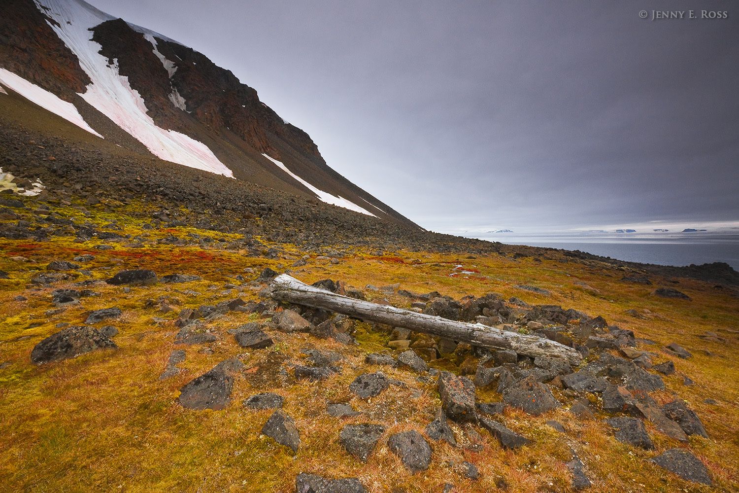Cape Norwegia, Jackson Island, Franz Josef Land, Russia