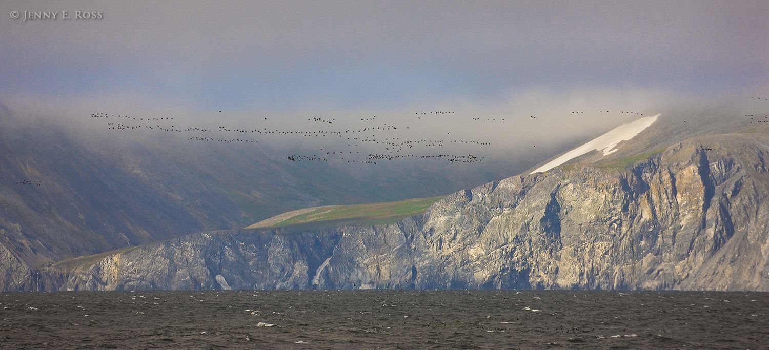Eastern Edge of Eurasian Continent, Cape Dezhnev, Bering Strait, Russia.