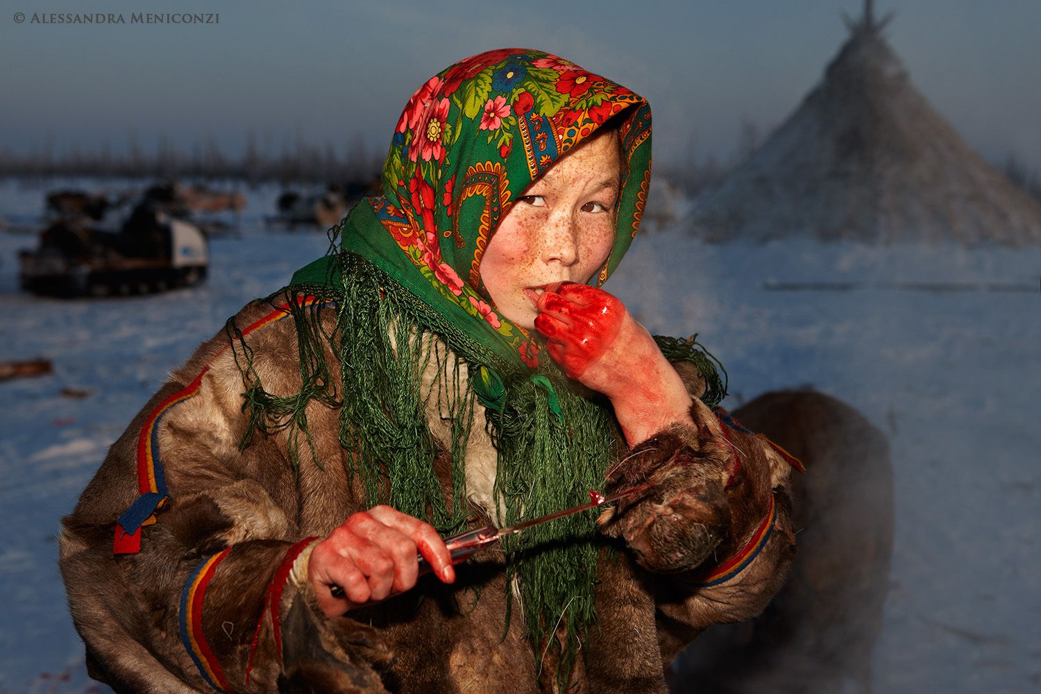 Yamal Peninsula, Siberia, Russian Federation. A young Nenet woman eats meat from a freshly-killed domestic reindeer.
