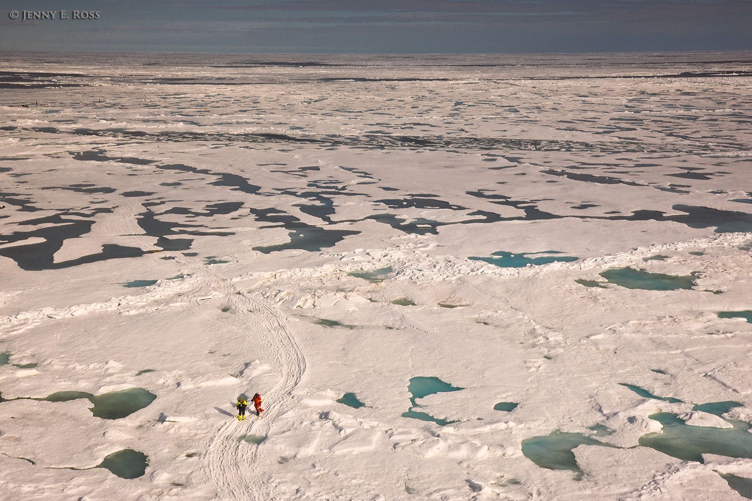 Scientific research on Arctic sea ice, central polar basin, Arctic Ocean.
