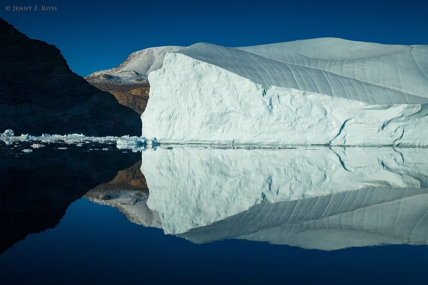 Icebergs, ancient metamorphosed sedimentary rock, and Daugaard-Jensen Glacier (Daugaard-Jensen Gletscher) are reflected in the still water of Norvest Fjord in Scoresby Sund, Northeast Greenland National Park, Greenland.